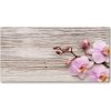 Foto obraz akrylové sklo Orchidea a na strome 100x50 cm