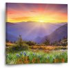 Sablio Obraz Západ slnka nad lesom - 50x50 cm