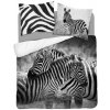DETEXPOL Francúzske obliečky Zebra Bavlna, 220/200, 2x70/80 cm