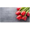 Foto obraz akrylové sklo Červené tulipány 100x50 cm