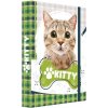 Box na zošity A4 Jumbo Kitty