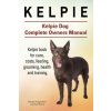 Kelpie. Kelpie Dog Complete Owners Manual. Kelpie book for care, costs, feeding, grooming, health and training.
