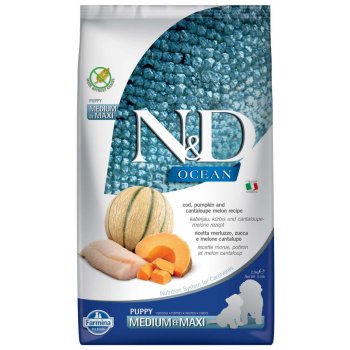 N&D Dog Ocean Pumpkin GF Puppy Medium & Maxi, Cod & Cantaloupe melon 2,5 kg