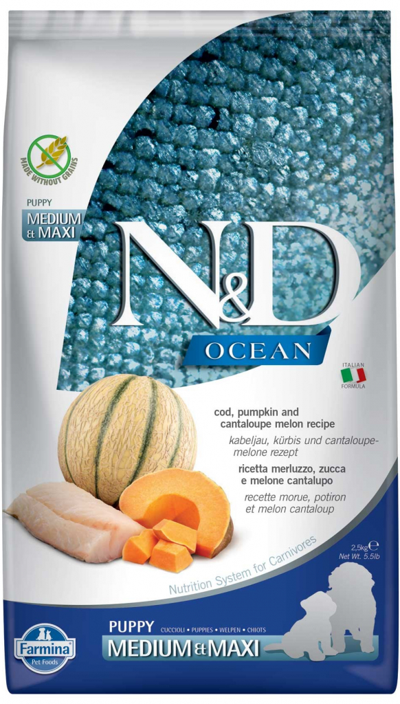 N&D Dog Ocean Pumpkin GF Puppy Medium & Maxi, Cod & Cantaloupe melon 2,5 kg