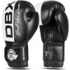 BUSHIDO Boxerské rukavice DBX B-2v20