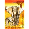 Černý Petr Safari - Dana Zimová