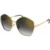 Cartier CT0356S 001