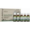 Saloos Esenciální oleje Domácí aroma lékárnička 5 x 10 ml
