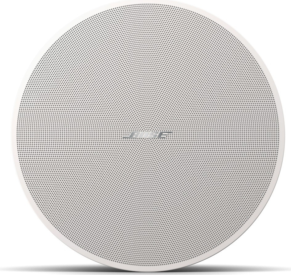 Bose DesignMax DM5C