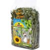 JR Farm Obilné pole 100 g
