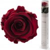 Darčeková stabilizovaná ruža - tmavo červená