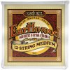 Ernie Ball 2012 Earthwood 80/20 Bronze 12-String Medium