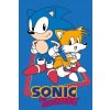 Carbotex Bavlnený uteráček 30 x 50 cm Ježko Sonic a Tails