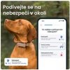 Tractive DOG 6 – GPS lokátor pro psy a monitor zdraví, hnědý