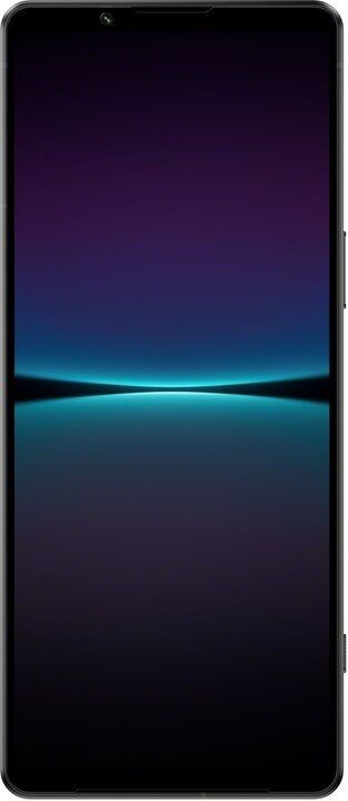 Sony Xperia 1 IV 12GB/256GB