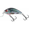 Salmo Wobler Rattlin’ Hornet Shallow Holographic Real Dace - 3,5 cm - 5,5 g