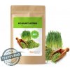 MycoMedica MLADÝ JAČMEŇ BIO 200 g