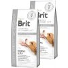 Brit gf veterinary diets dog Mobility 2x12kg