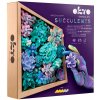 OKTO Energy Výtvarná modelovacia sada sukulenty v drevenom ráme 21x21 cm