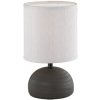 TRIO R50351026 Luci stolové svietidlo E14 1x40W