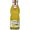 Ginger s medom a citrónom 100% šťava 500ml MOY Zamio