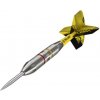 Šípky steel Target Gabriel Clemens 22g Brass