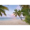 Komar Vliesová fototapeta Paradise Morning 368 x 248 cm