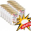 DOLINA NOTECI 4Vets pre psov Redukcia hmotnosti 12x400g