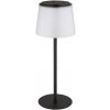 Globo 58462F