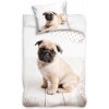 Carbotex obojstranné bavlna obliečky ŠTENIATKO BULDOČEK 140x200 70x90 NL211085