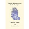 Tibetan Healing Science: Bod Kyi Sowa Rigpa (Eleanor Lincoln Morse,Pema Dorjee,Dr Pema Dorjee)(Brožovaná)