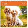 Dogs 2027 - nástěnný kalendář