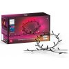 Philips | Philips-LED RGBW Stmievateľná vonkajšia reťaz HUE WACA 250xLED 24,4 m IP54 | P5923