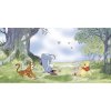 Komar Vliesová fototapeta Disney Winnie Pooh Friendly Day 500 x 250 cm