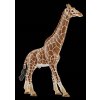 Schleich Wild Life zirafa - samec