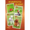 Kvarteto Mláďatá