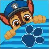 Carbotex · Detský / chlapčenský magický uterák Labková patrola - Paw Patrol - 100% bavlna - 30 x 30 cm