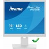 iiyama ProLite B1980S-W1 - LED monitor - 19