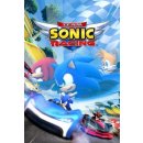 Hra na PC Team Sonic Racing