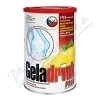 Geladrink Plus citrón 340g