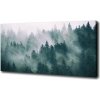 Foto obraz na plátne Hmla nad lesom 100x50 cm