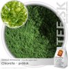 ZDRAVÉ POTRAVINY Chlorella – prášok (100g)
