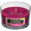 Sviečka Bolsius Glass Citronella, repelentná, 62/106 mm, rozmarín, v skle