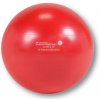 Fitness ball- fit lopta 55cm