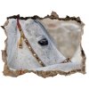 Díra 3D fototapeta nálepka Biela arabský kôň 95x64 cm
