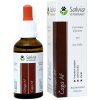 Salvia Veterinary Chaga AF 50 ml