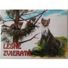 Lesné zvieratá - Alena Pokorná