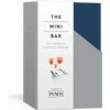 Mini Bar (Brad Thomas Parsons)(Kniha)