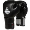 Boxerské rukavice DBX BUSHIDO B-2v9 Veľkosť: 12oz.