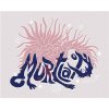 Zuty – Ilustrácia murtlap (Fantastické zvieratá), 40×50 cm, vypnuté plátno na rám 8596530202097